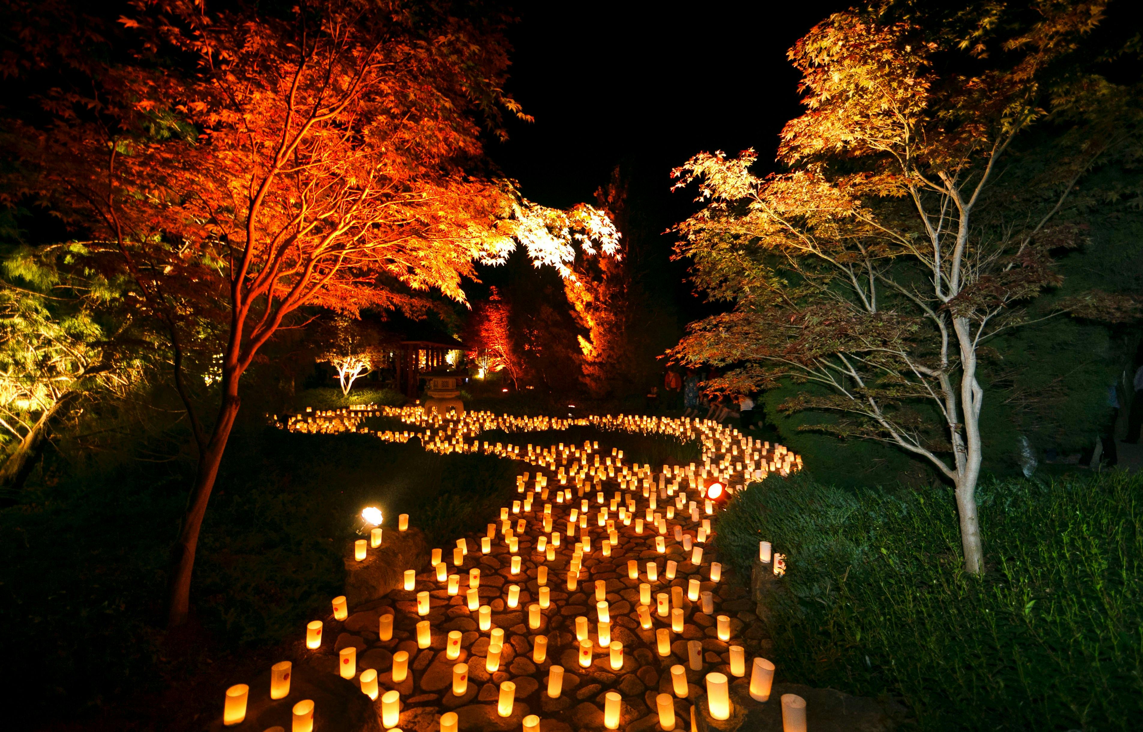 Canberra Nara Candle Festival