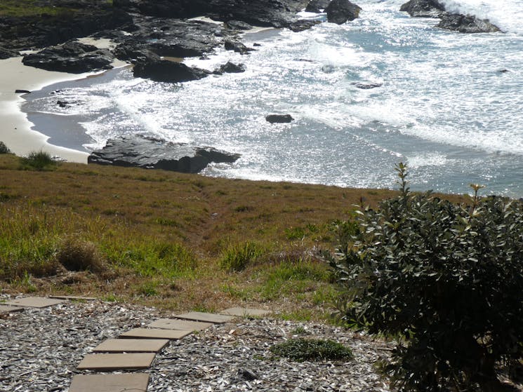 Path from the villa to Wakki Beach Scotts Head