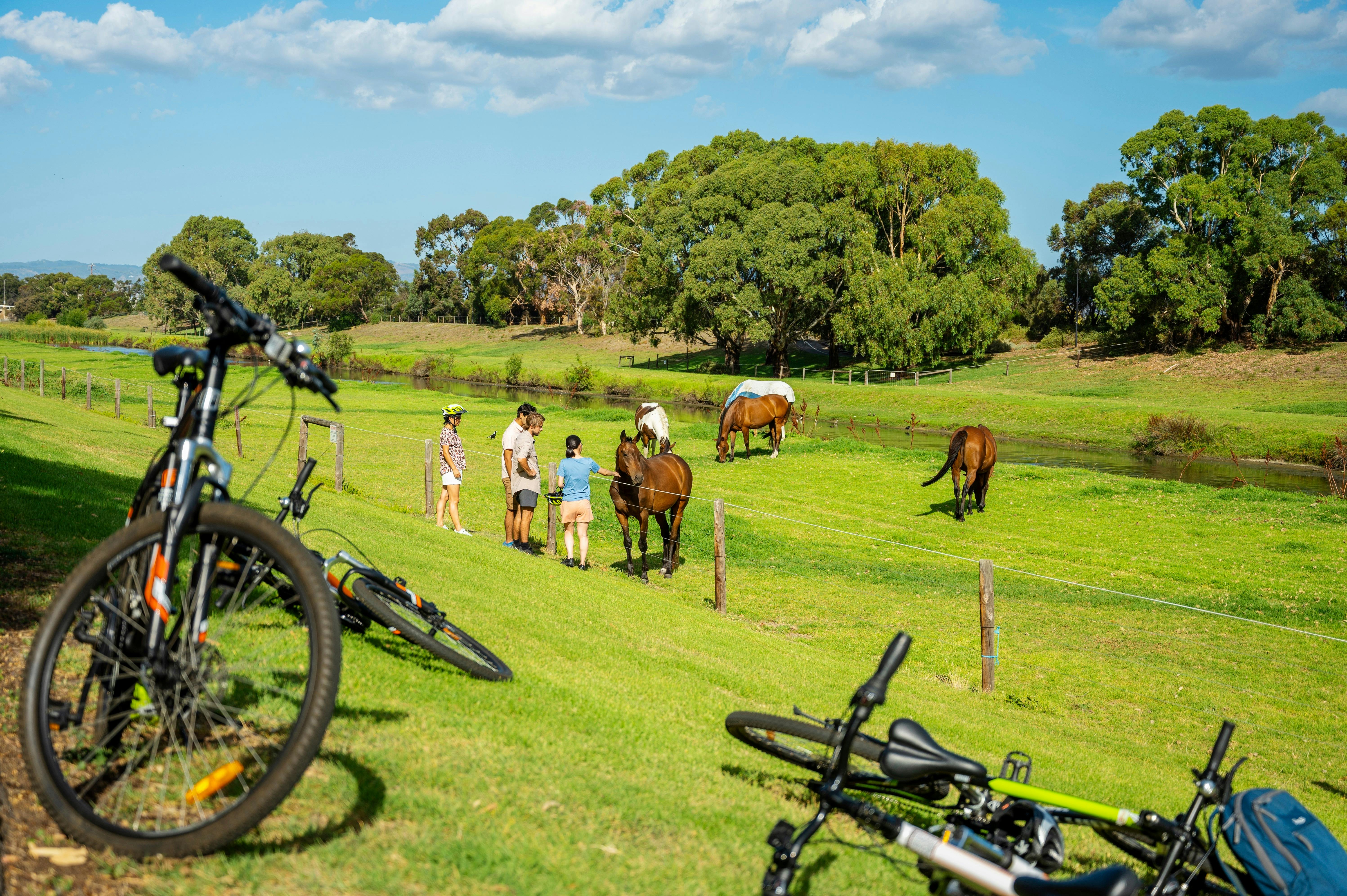 Riders saying hello to some of the friendly residents along the city to sea bike trail