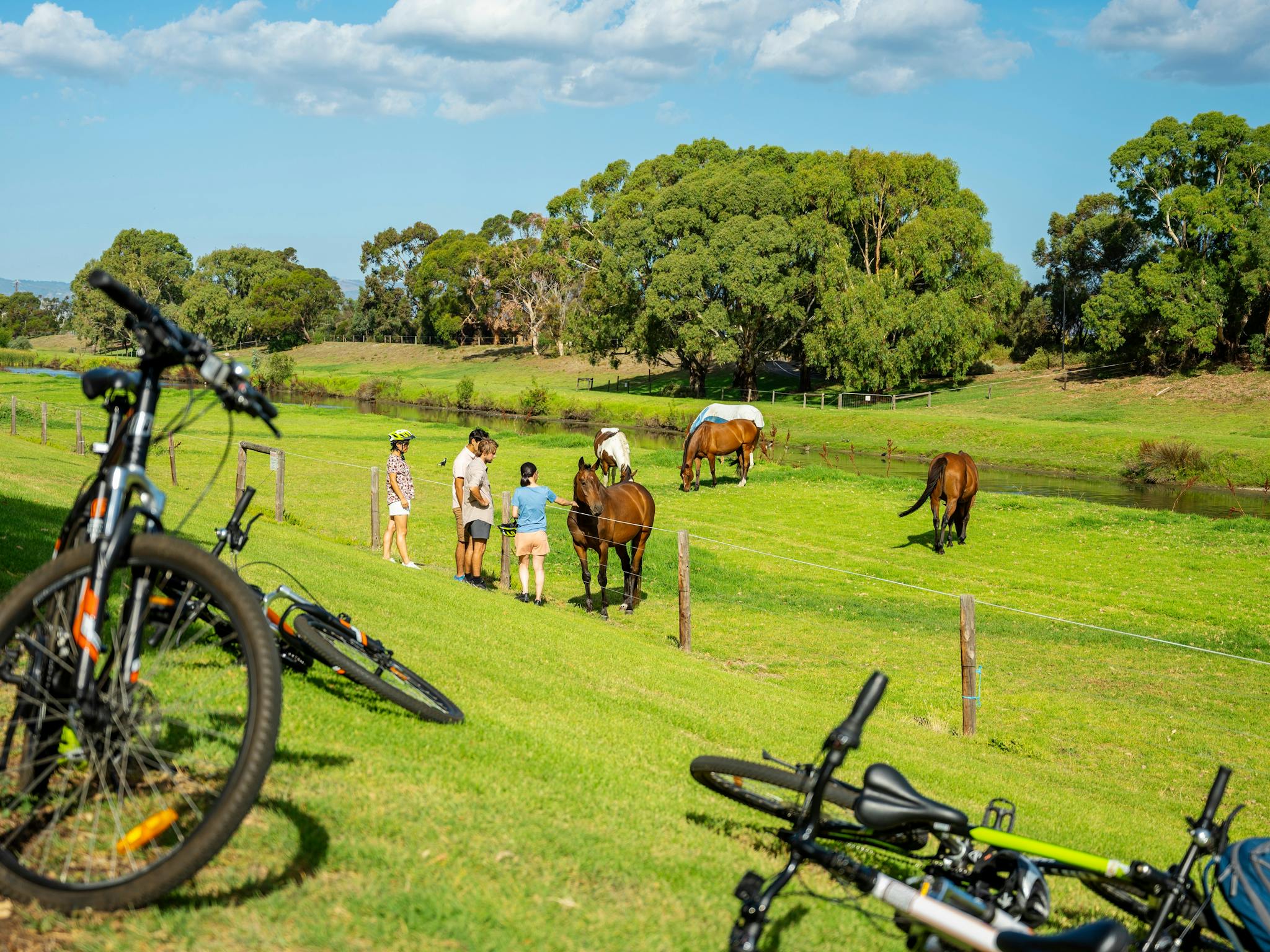 Riders saying hello to some of the friendly residents along the city to sea bike trail