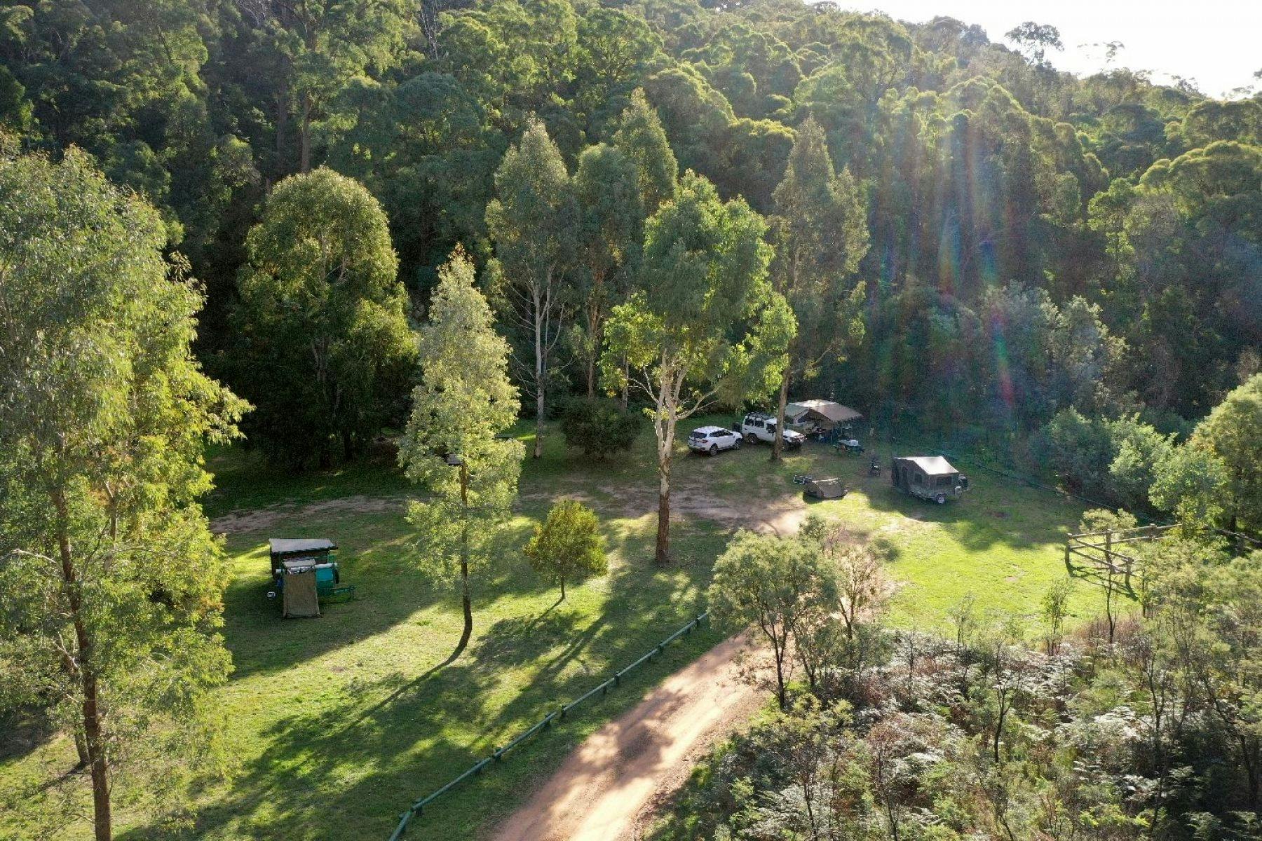 An open grassy campground surrounded by trees and campers. forest campsite with trees, grass