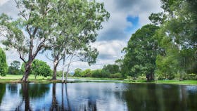 Gold Coast Regional Botanic Gardens