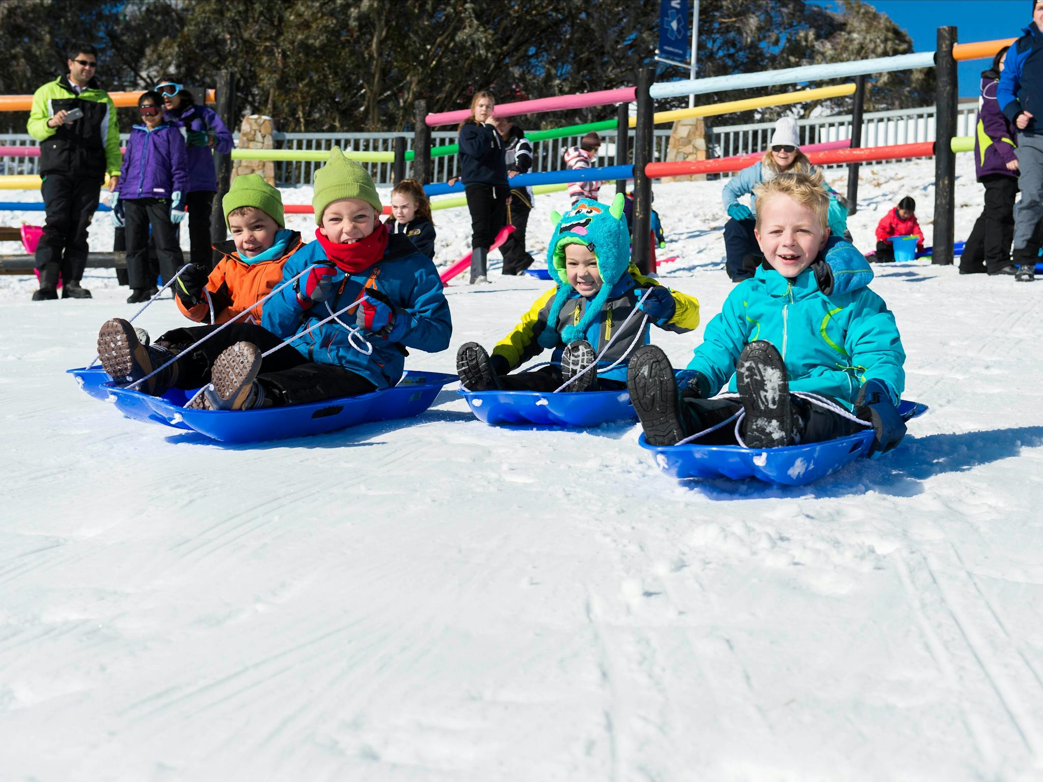 Perfect setting for a toboggan race