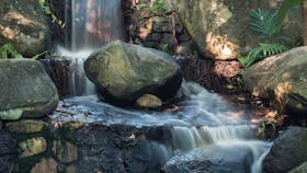 Waterfall in the Mackay Botanic Gardens