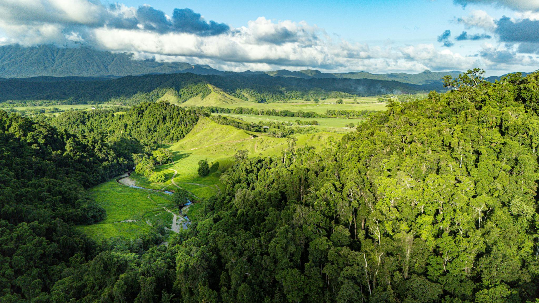 Daintree Village Daintree Village