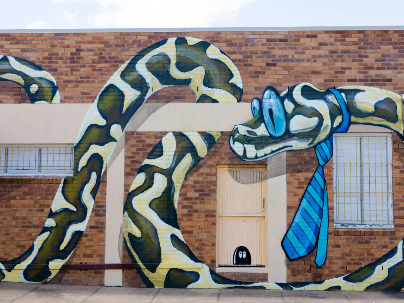 Carpet Python by Jon Electros Avocado