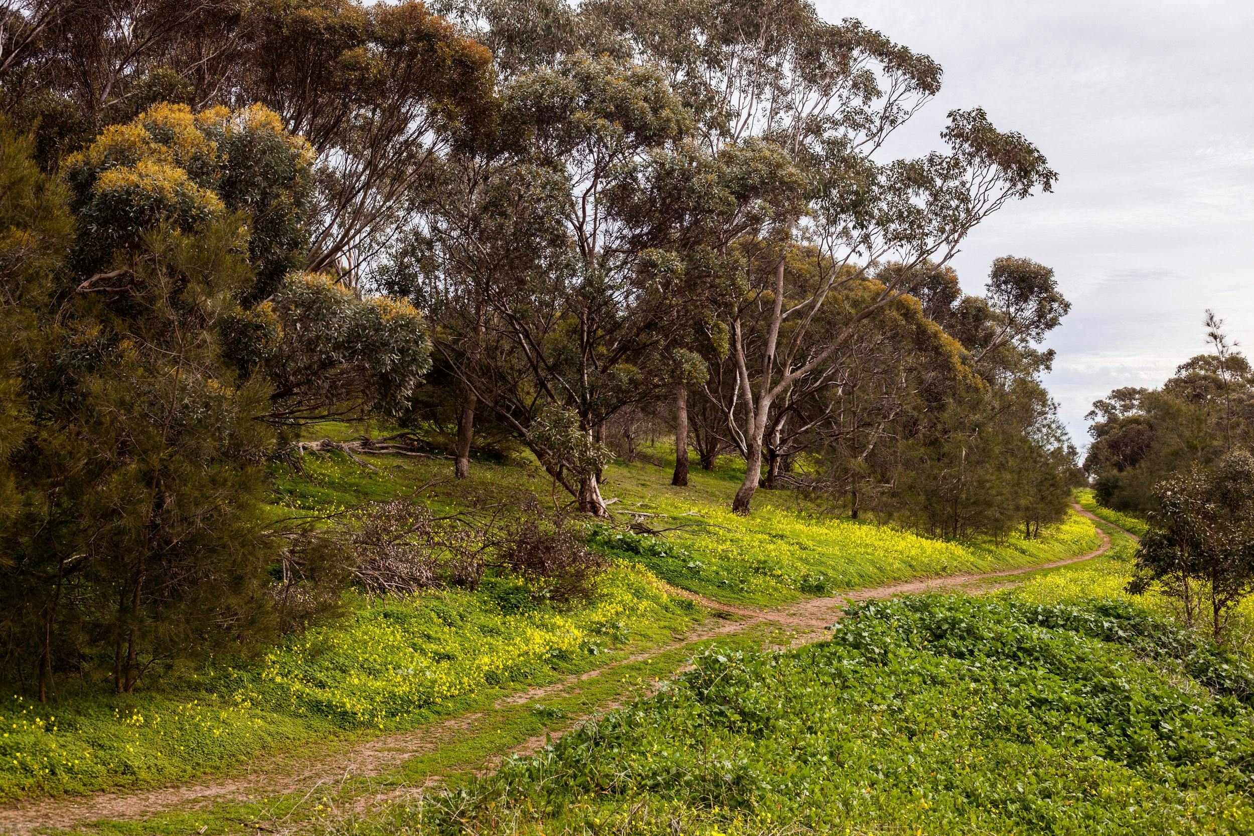 O'Halloran Hill Recreation Park