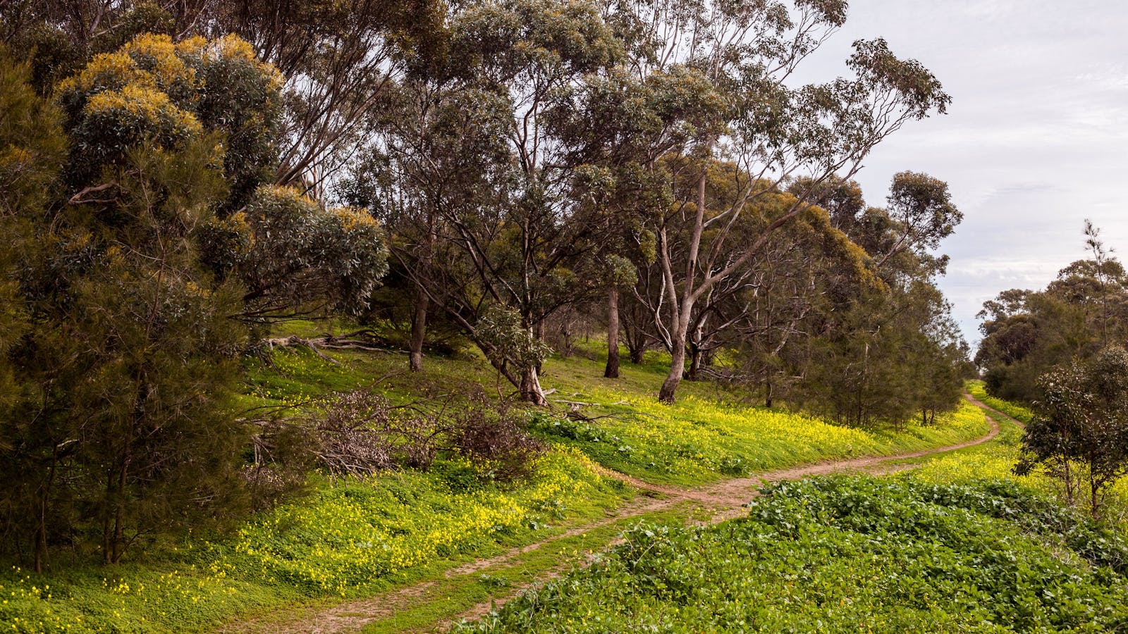 O'Halloran Hill Recreation Park