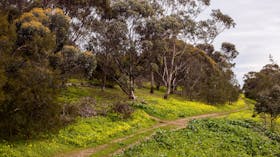 O'Halloran Hill Recreation Park