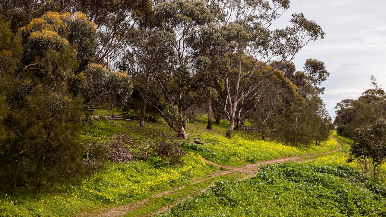 O'Halloran Hill Recreation Park