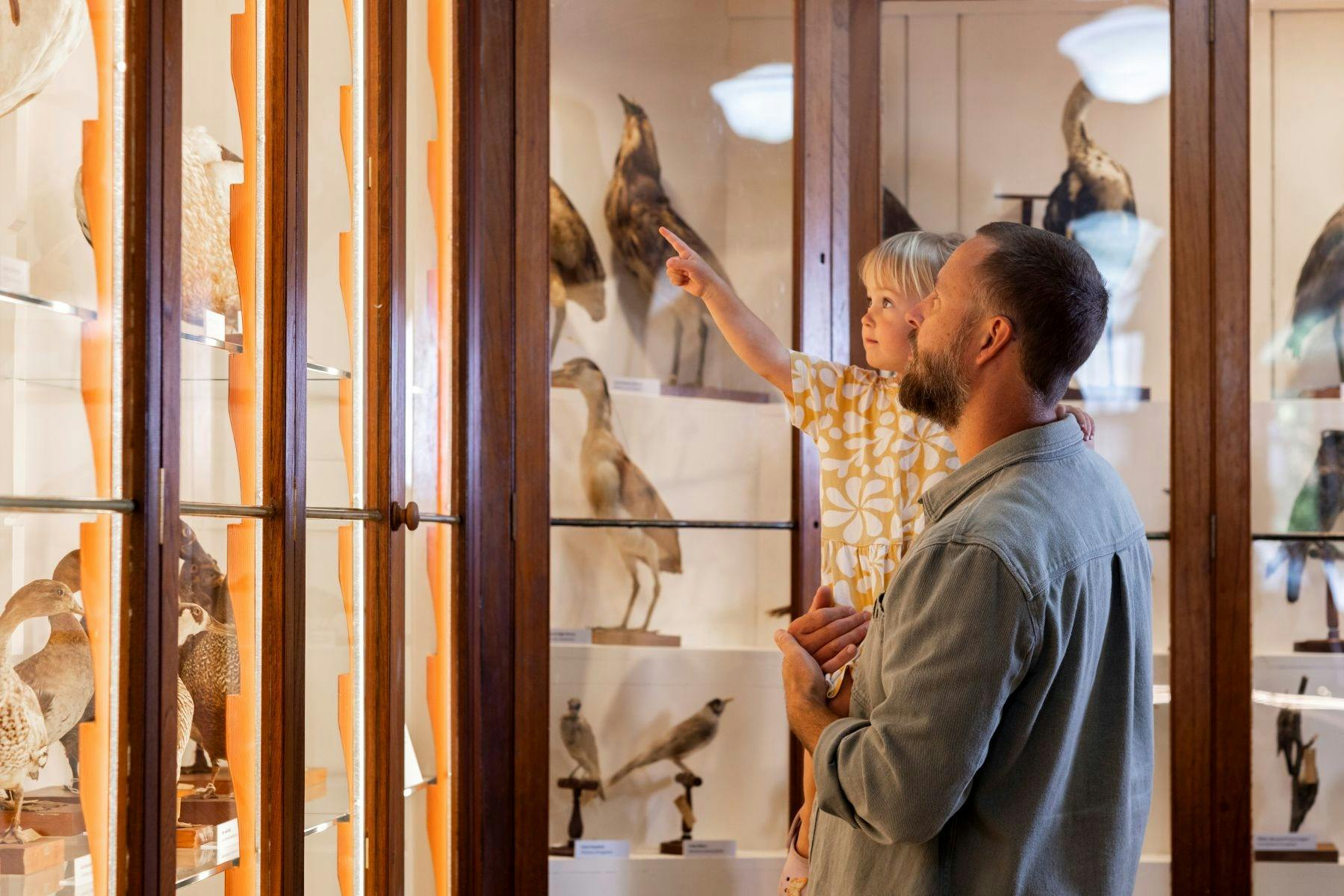 a young toddler and her father viewing the taxidermy exhibition at the Burke Museum