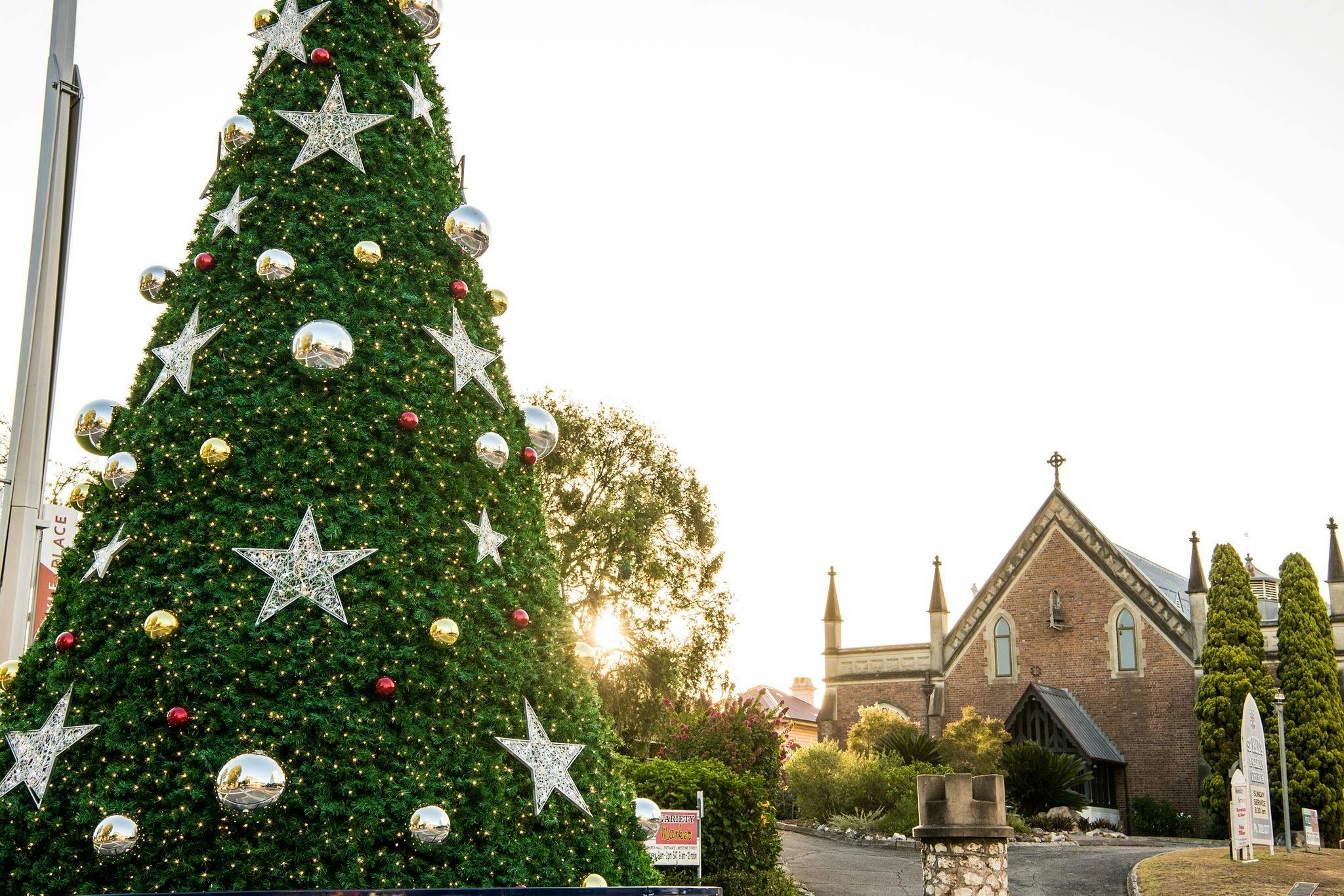 Lighting of the City Christmas tree