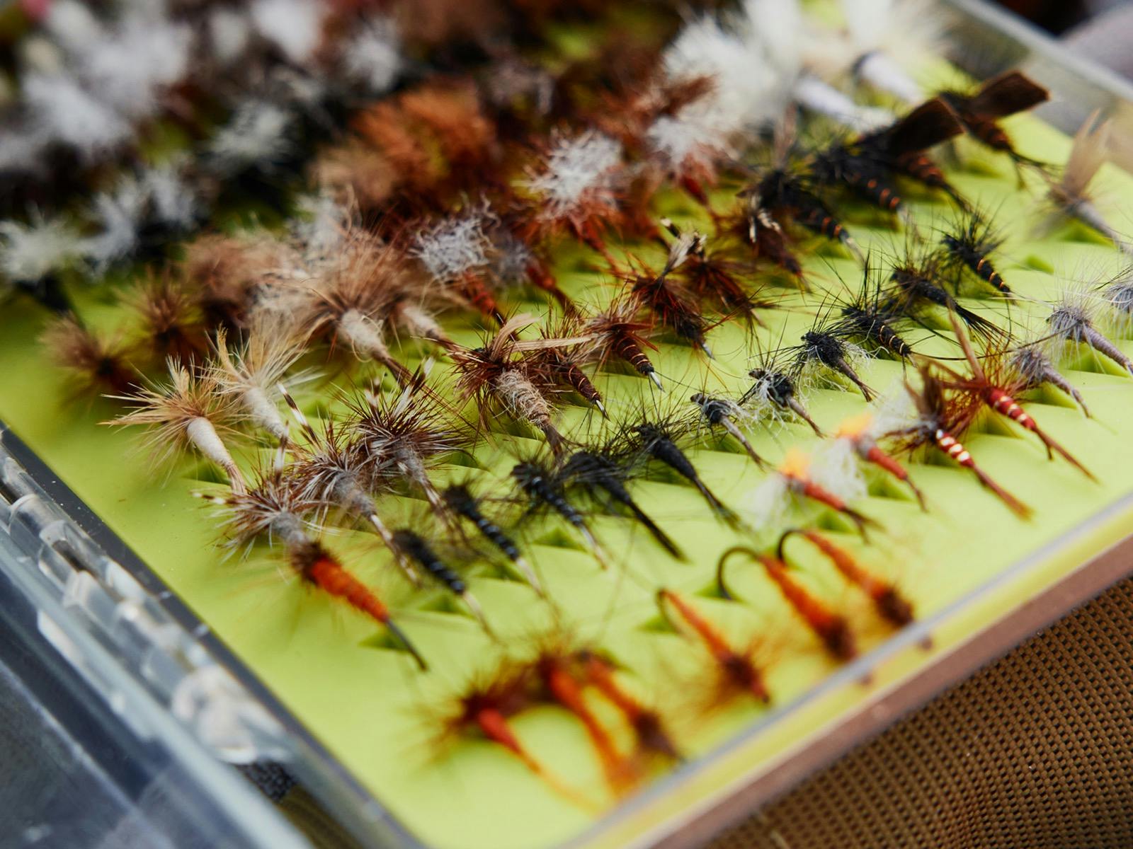 Selection of flies for guided fly fishing