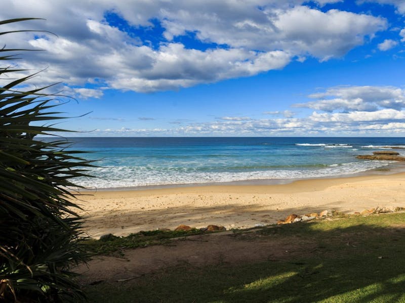 Nambucca Heads Caravan Park Dog Friendly Nambucca Heads Caravan Park Dog Friendly