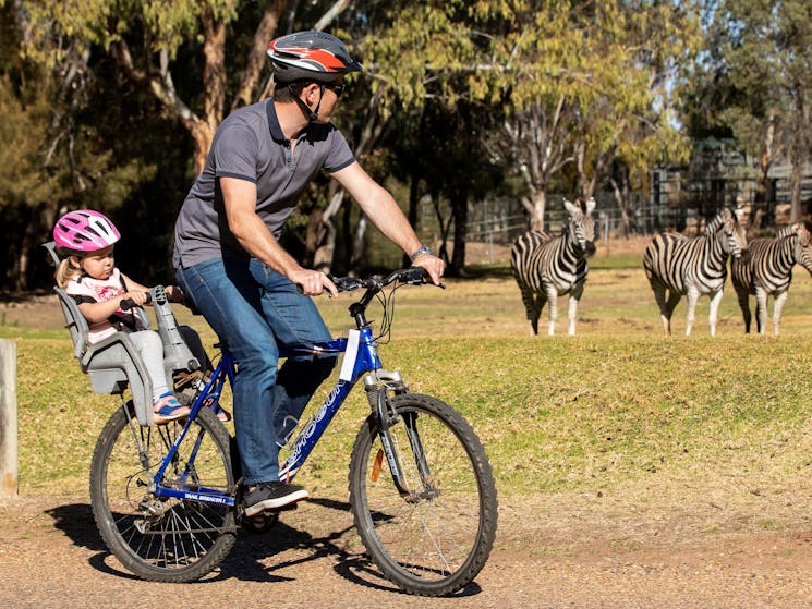 Bike riding, Taronga Western Plains Zoo, Dubbo