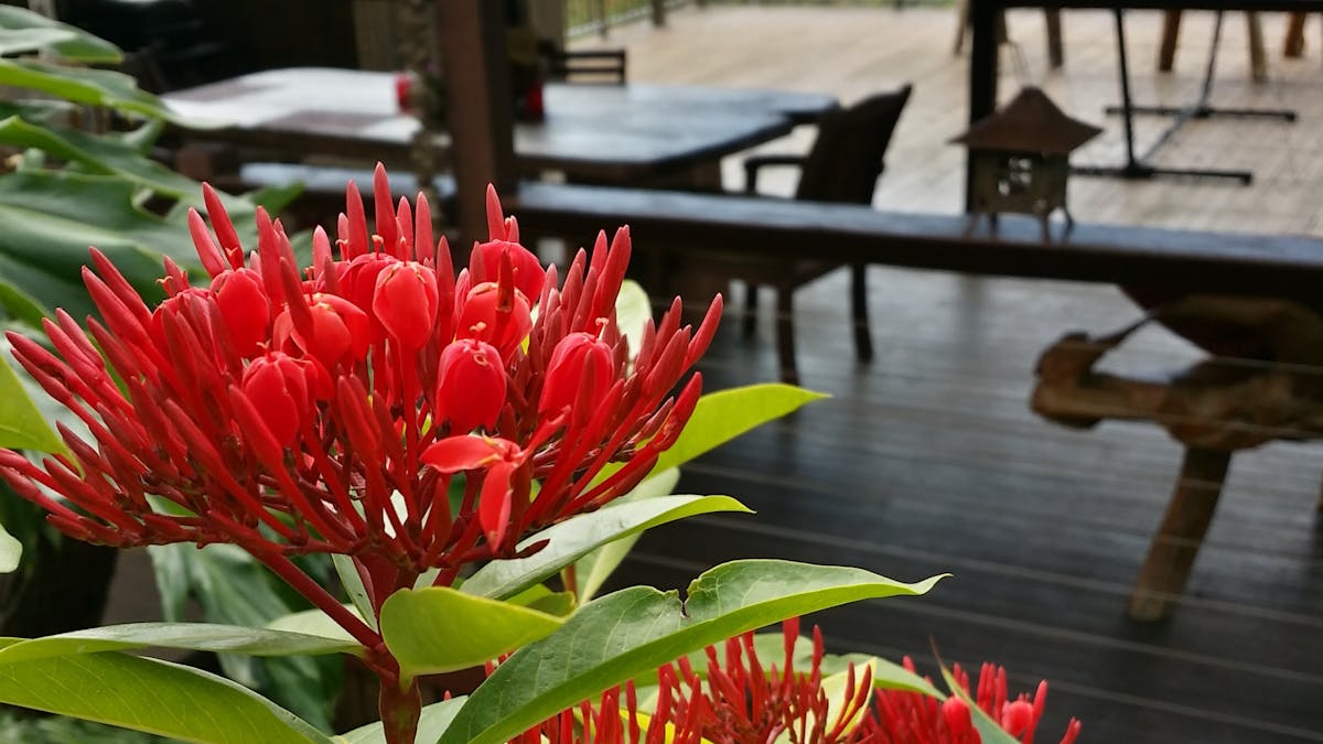 Uluramaya Retreat Cabins