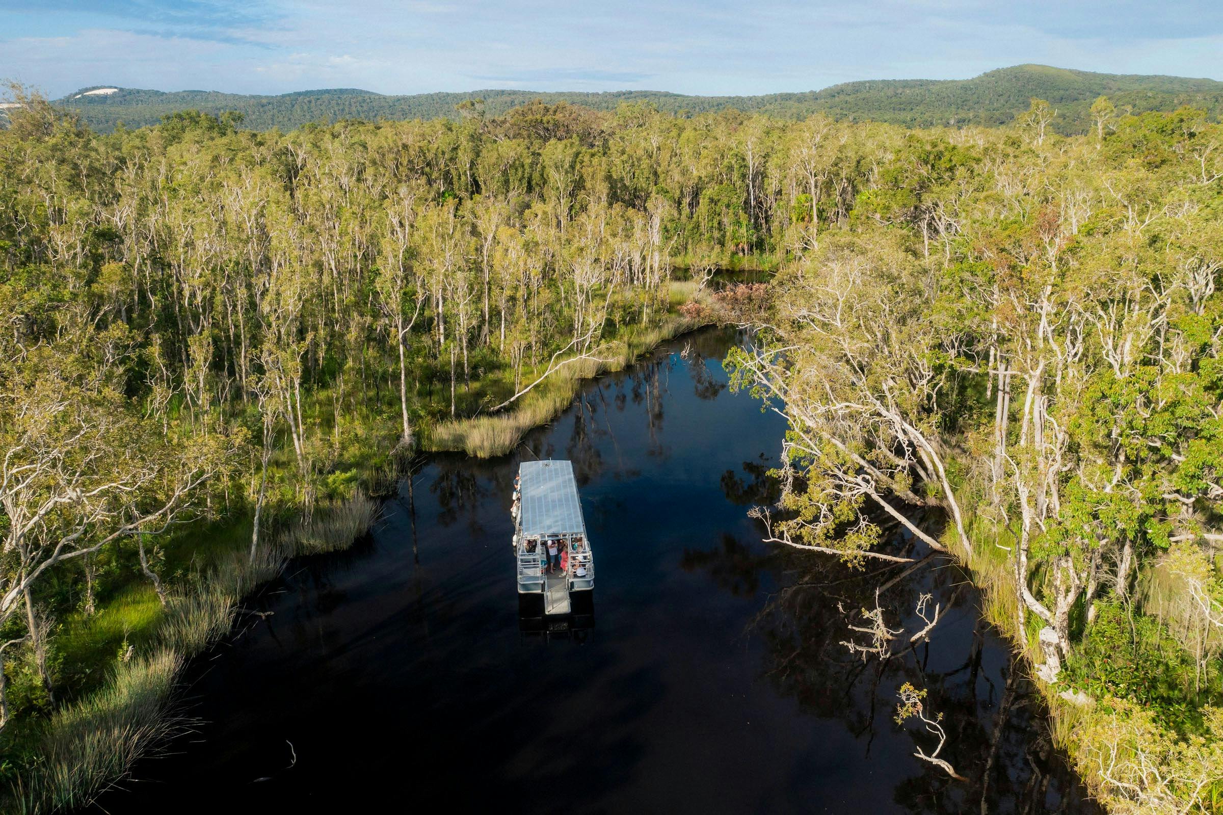 Everglades Eco Safaris