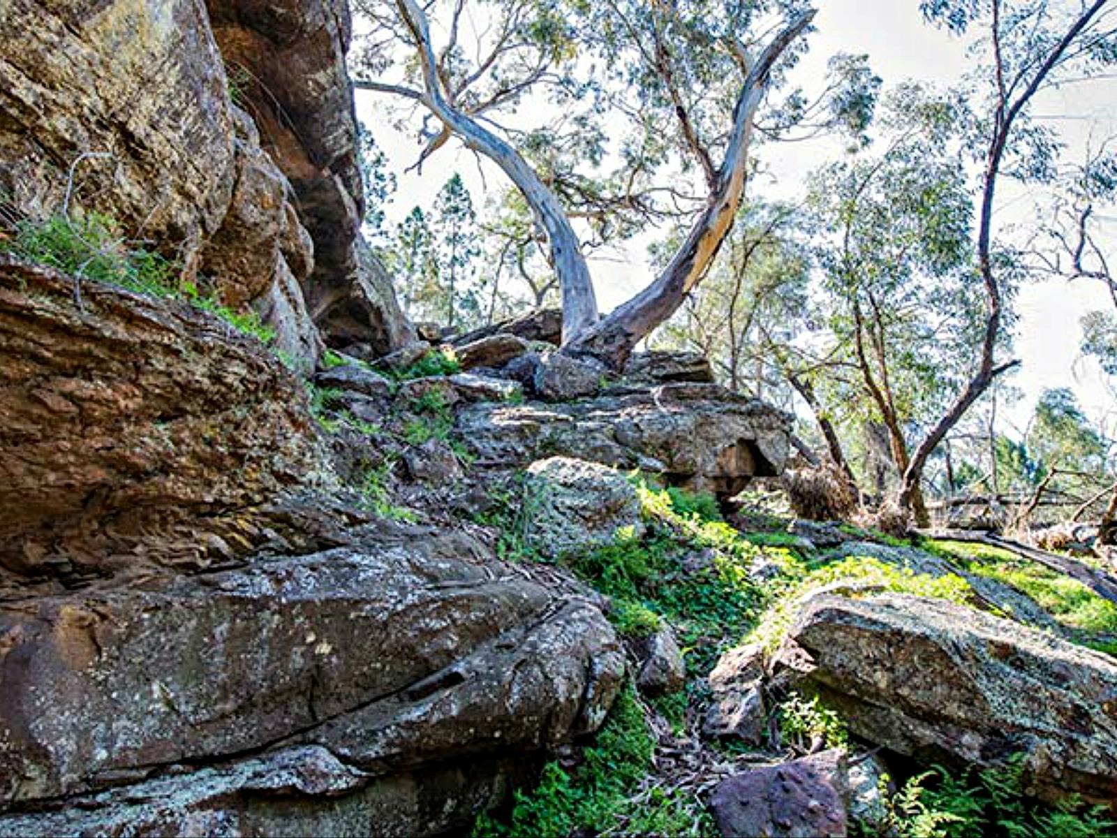 Woolshed Falls Walking Track