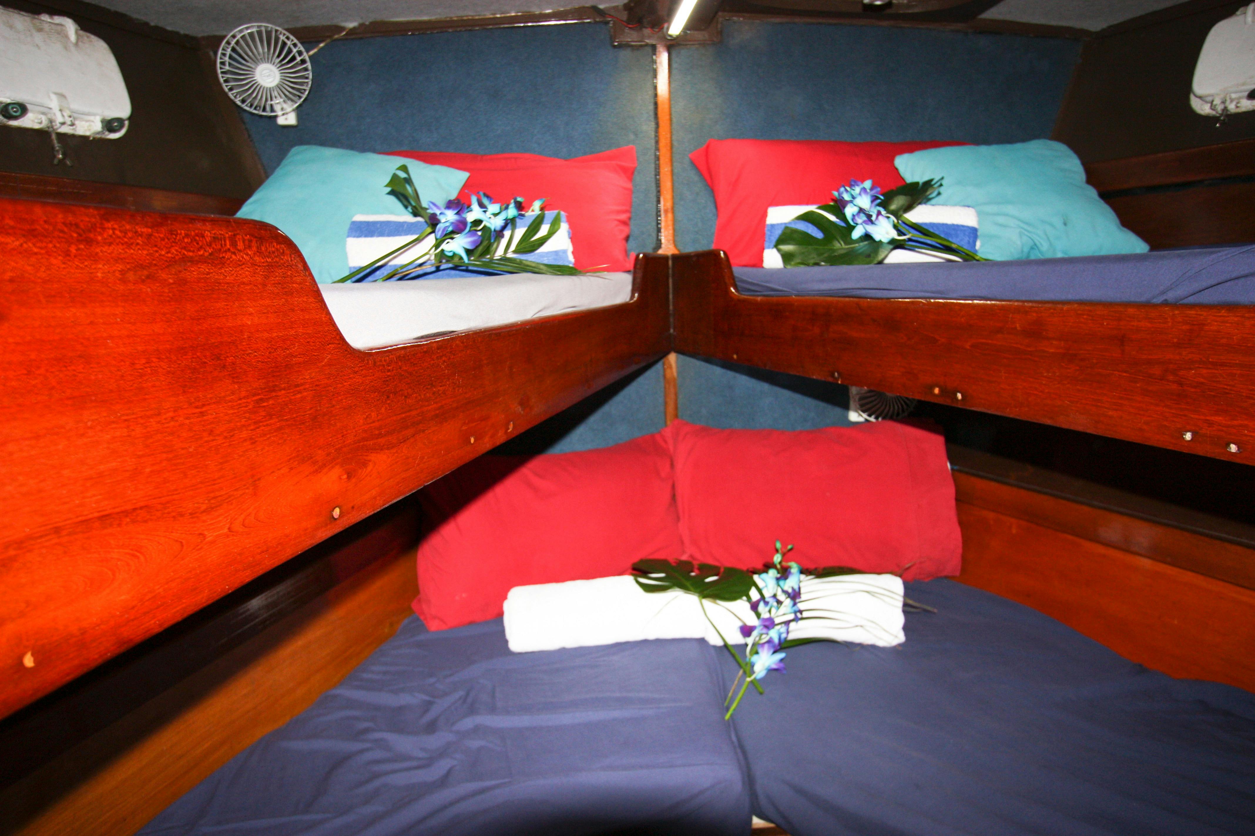 Quad Share Bunk style cabin