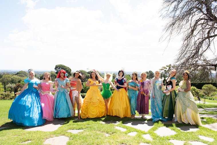 The Royal Princess Ball