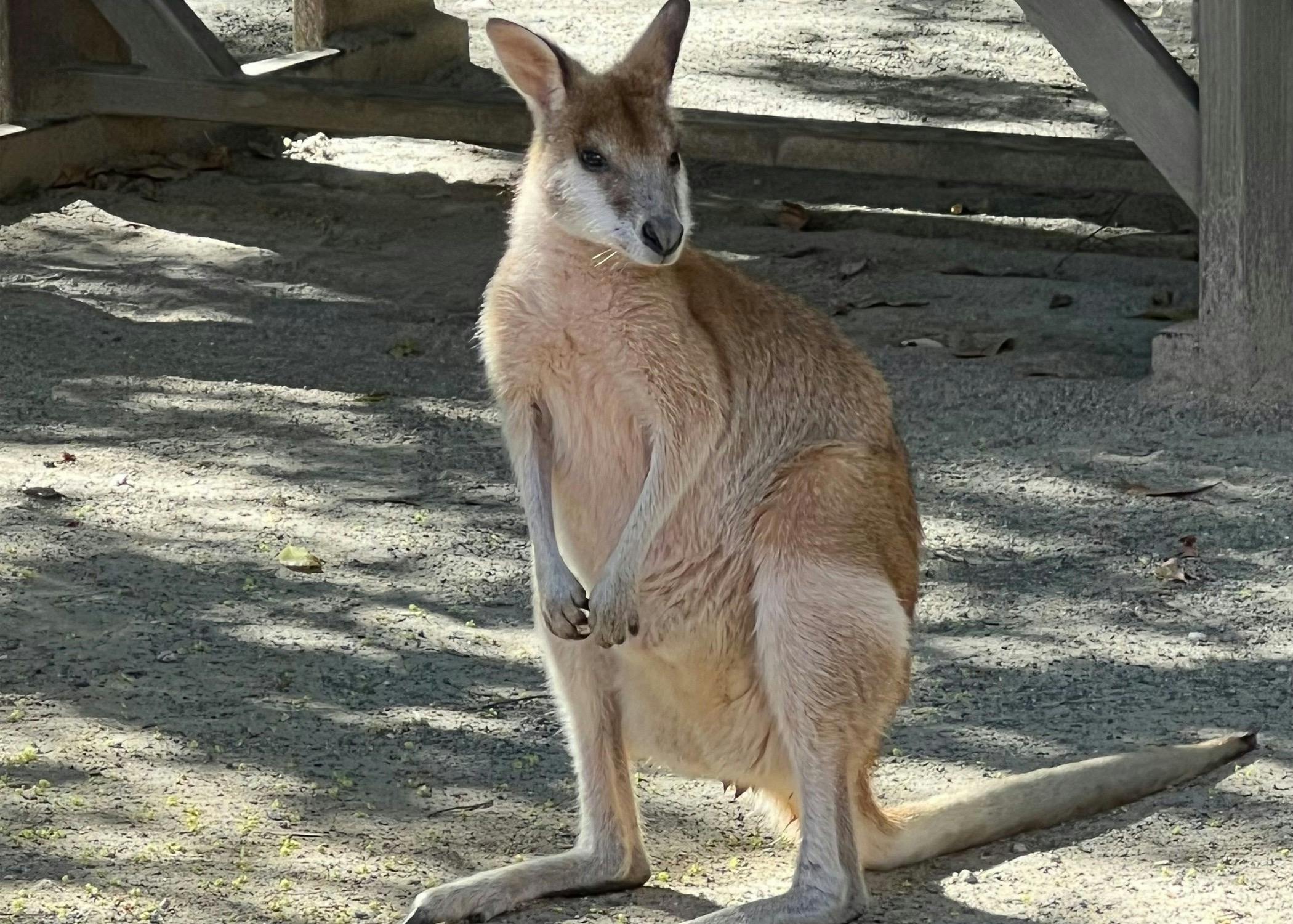 Meet the locals at Tipplers