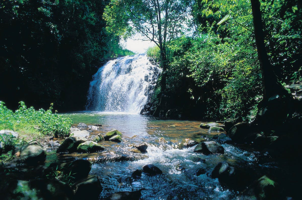 Pepina Falls