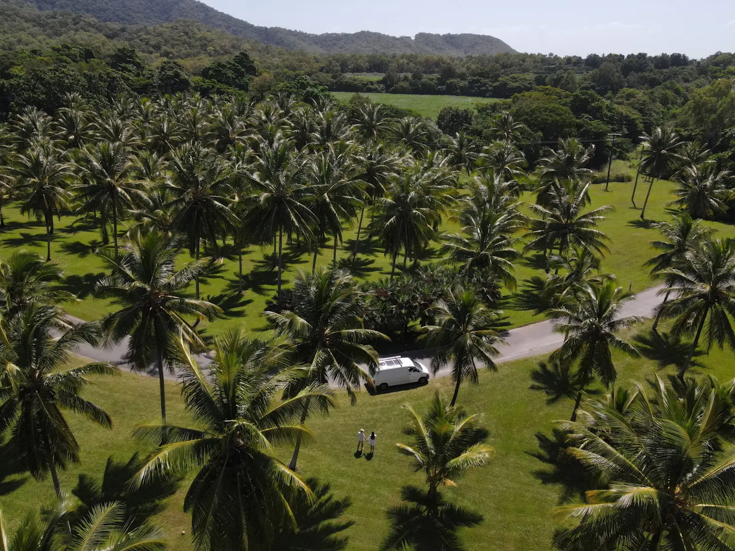 2 people walking through palm trees while a campervan is parked on the road