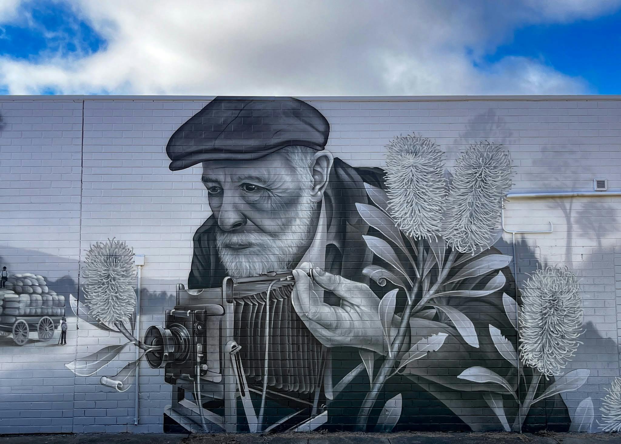 Honouring Arnold Playle