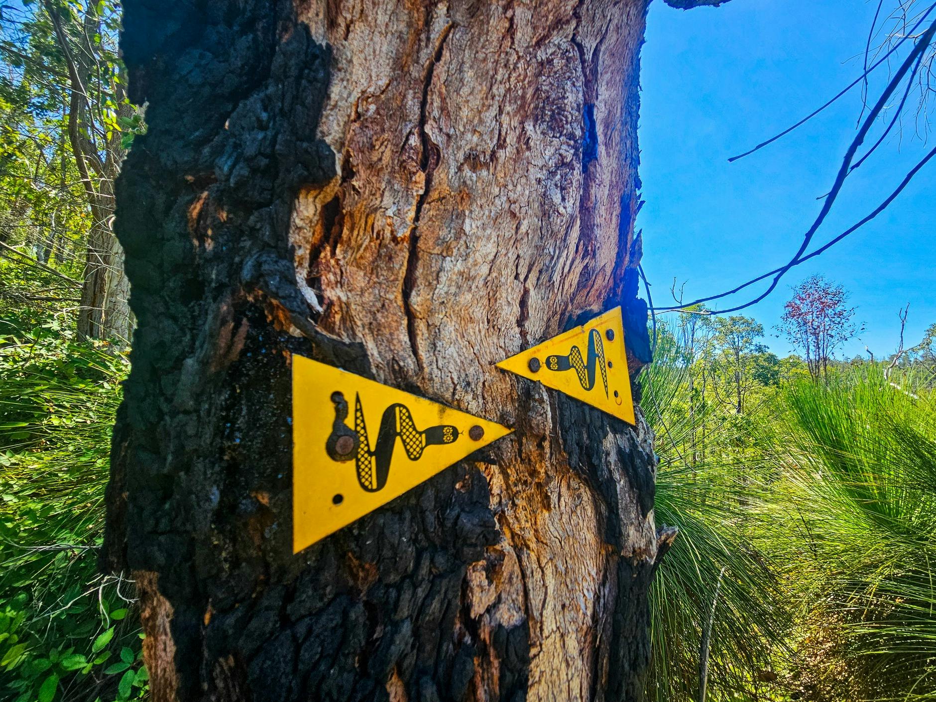Bibbulmun Track, Beedalup