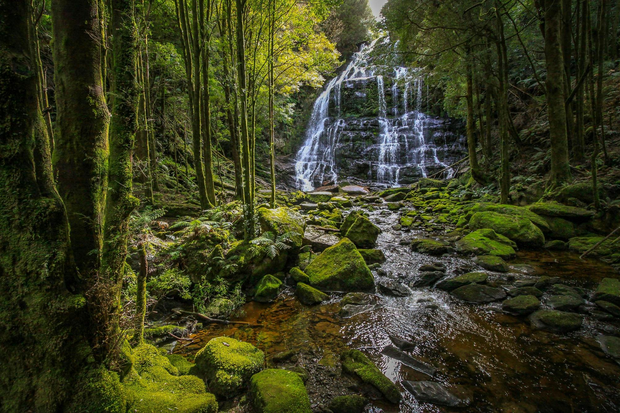 Nelson Falls, Great Short Walk