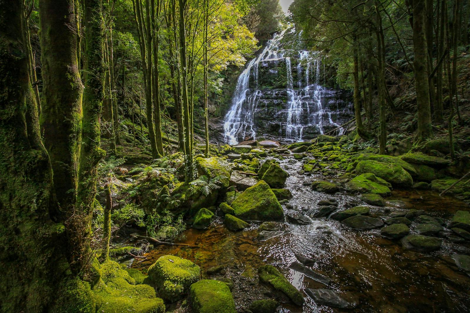 Nelson Falls - Great Short Walk