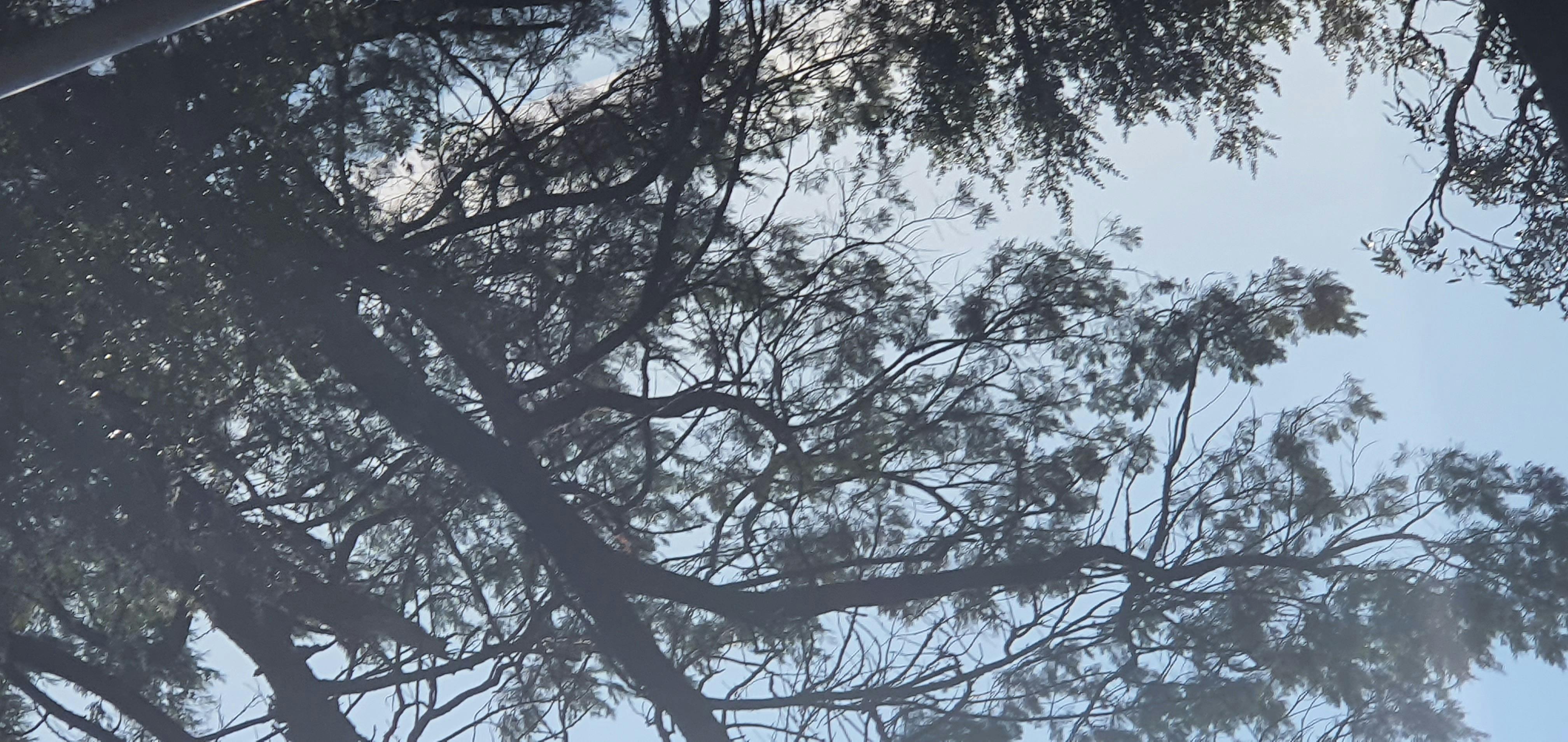 Grampians