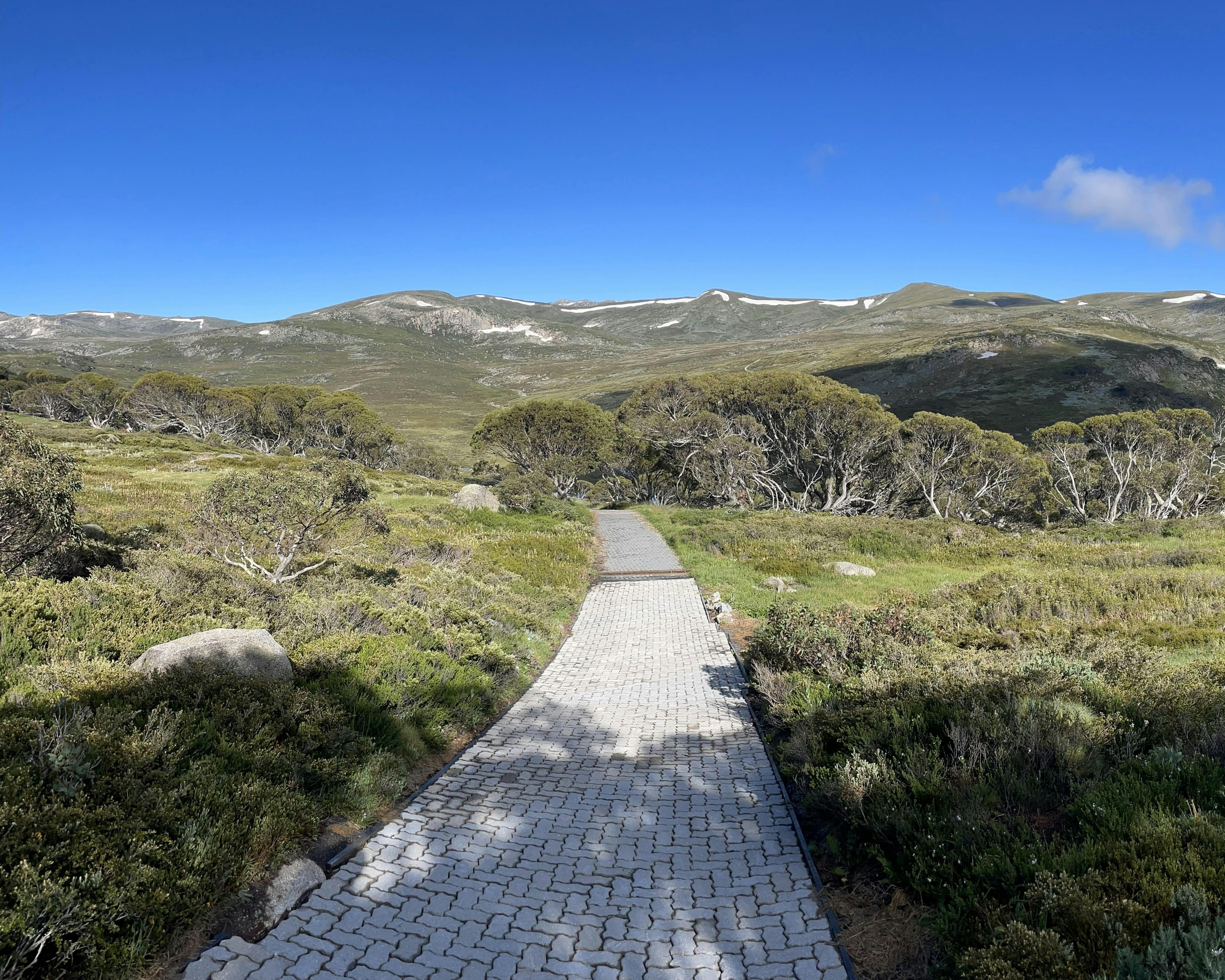 The Snowies Alpine Walk