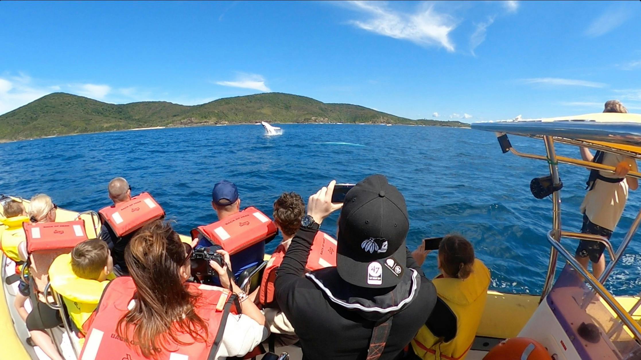Forster Whale Watch