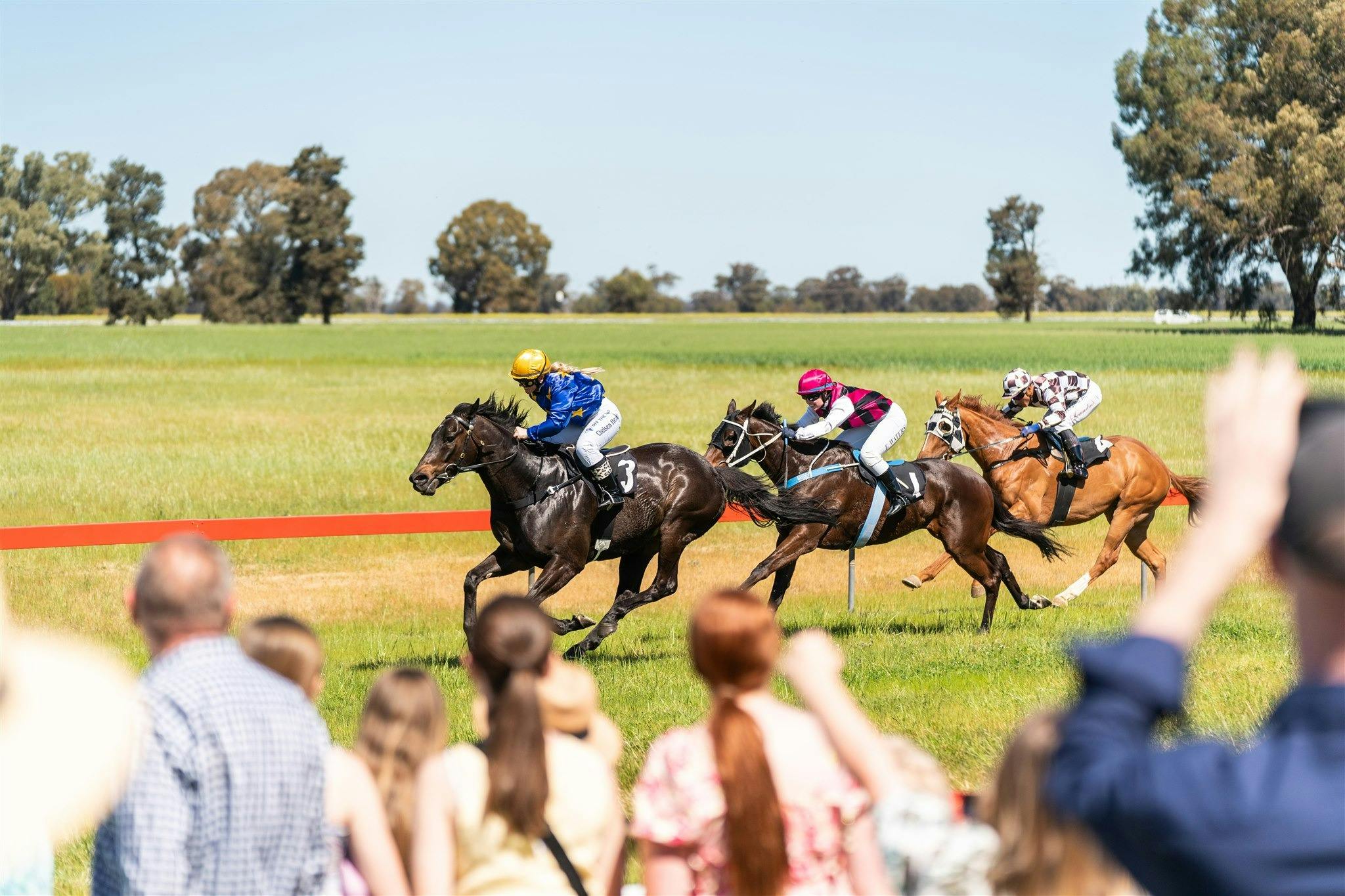 피크닉 레이스 록하트