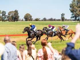 Picnic Races Lockhart