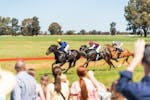 Picnic Races Lockhart