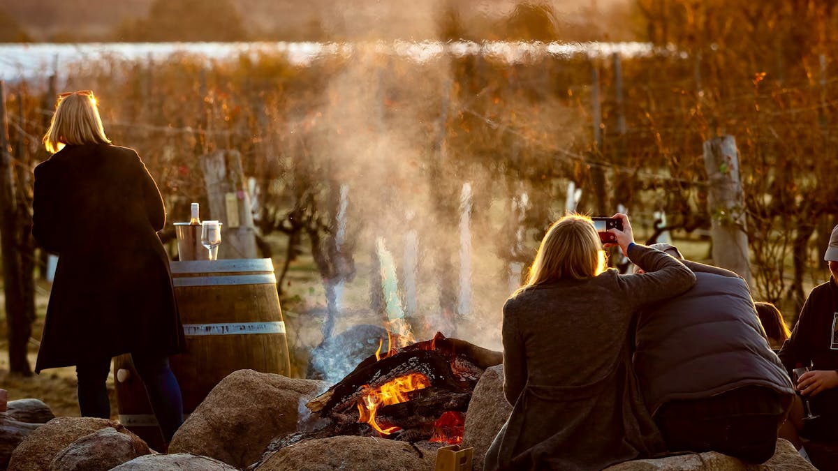 Campfire by the vines