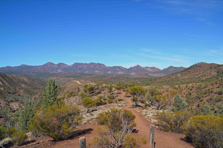 5 Day Flinders Ranges and Kangaroo Island Tour