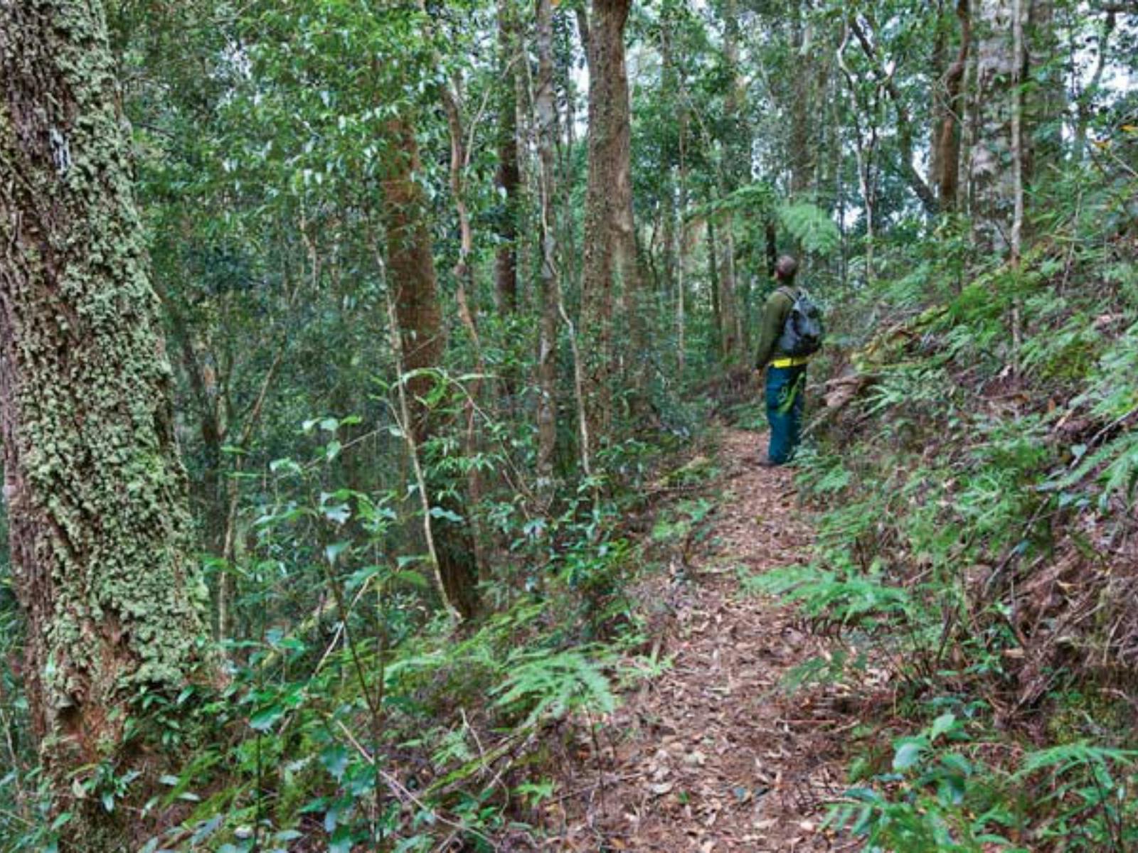 黑屁股步行道