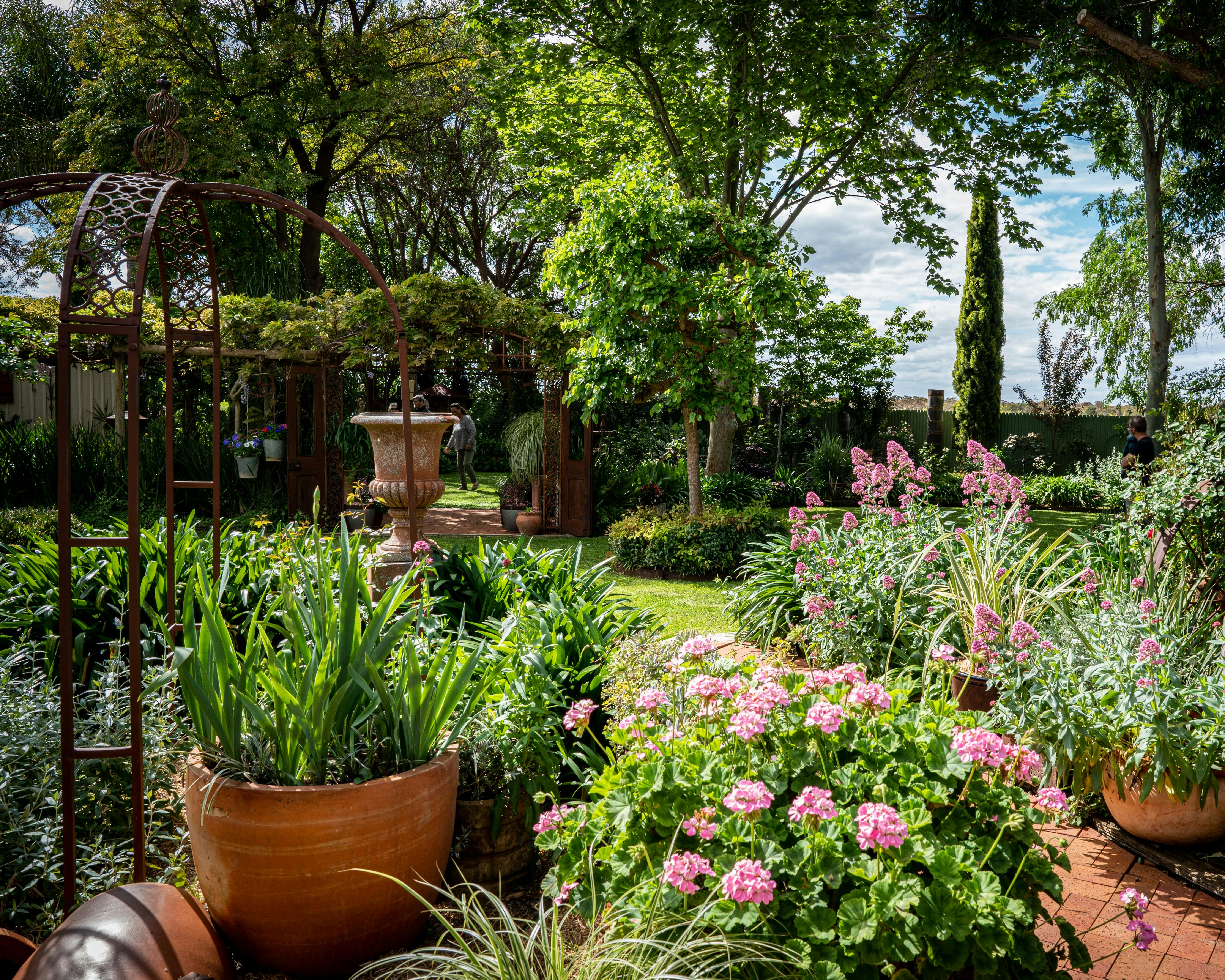 Pink flowers, potted plants and lush greenery lining a brick garden path at a Riverland garden.