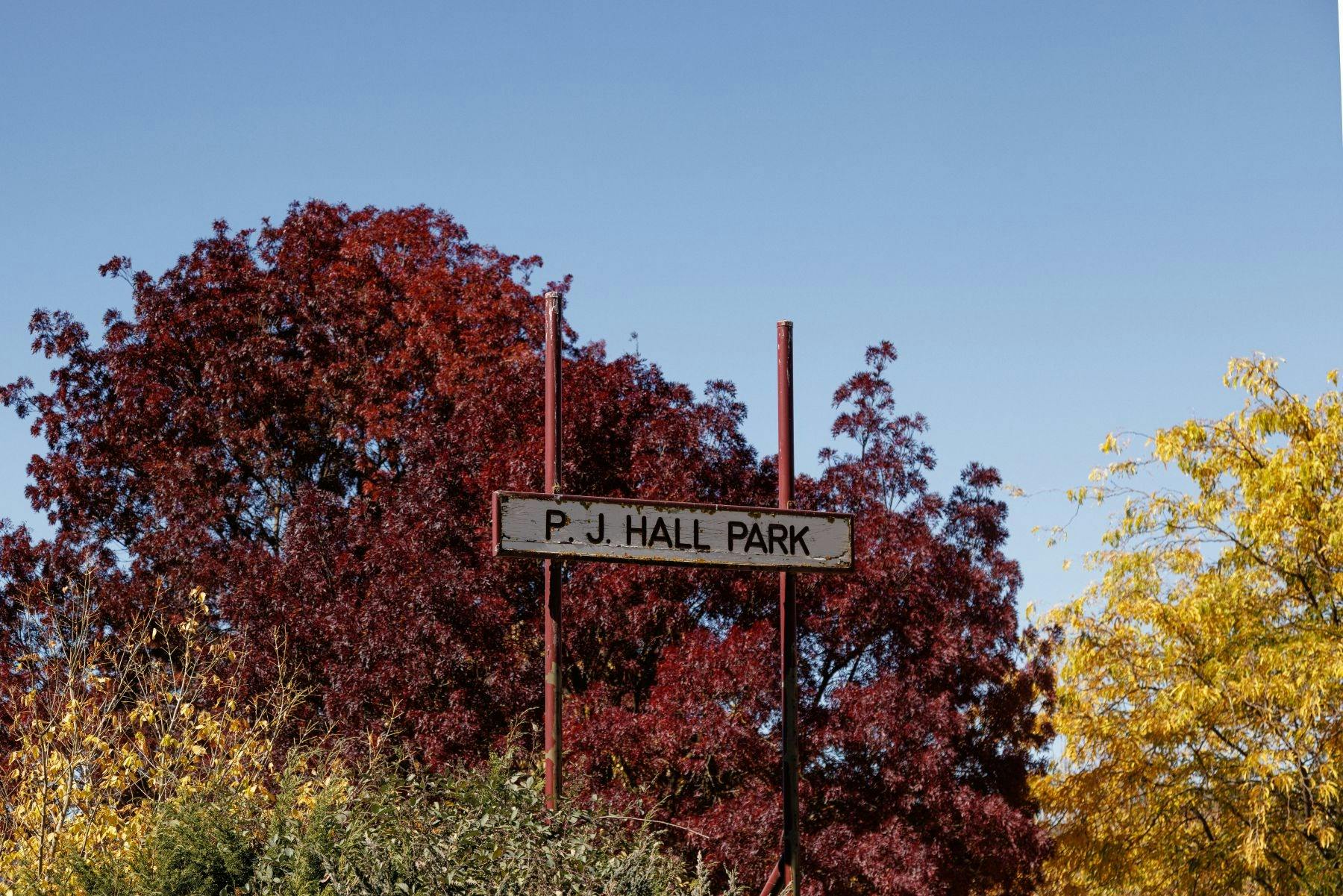 PJ Hall Park at Lake Wallace Wallerawang featuring a sign and colourful trees