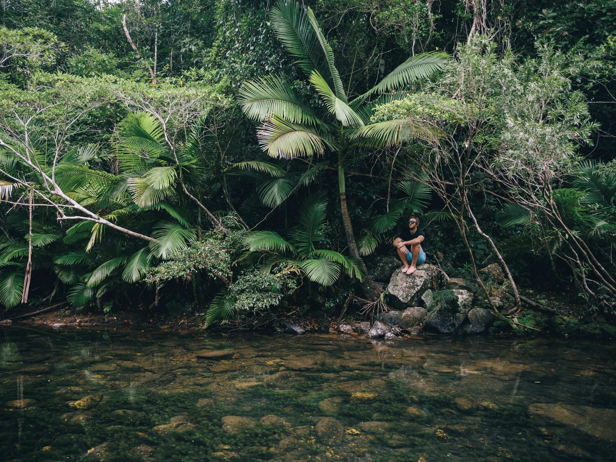 Person sitting by creek, Conway National Park