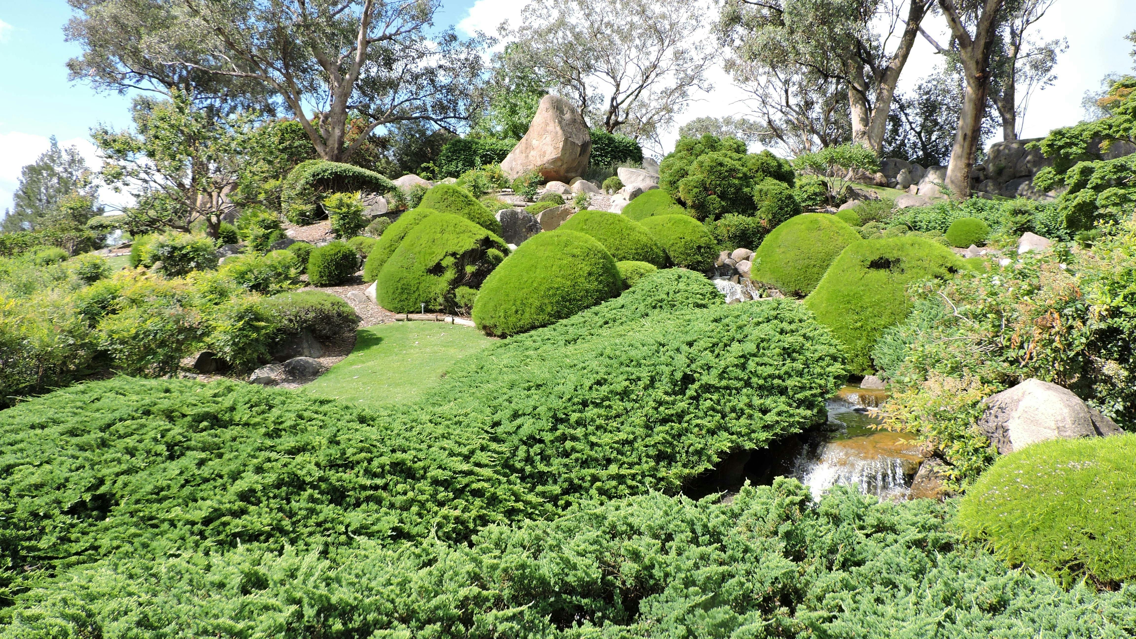 Marvel at the beauty of the Japanese Gardens Cowra