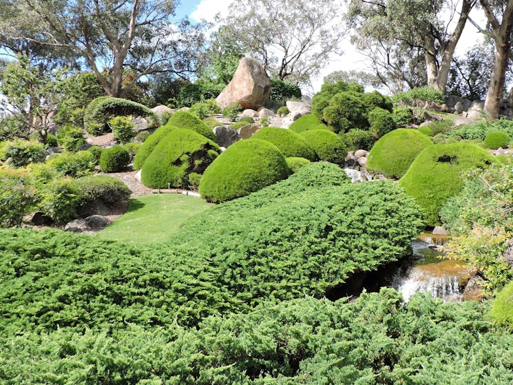 Marvel at the beauty of the Japanese Gardens Cowra