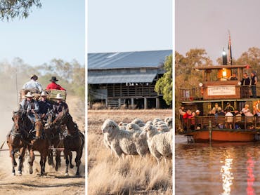 Three shots - a horse-drawn stagecoach, sheep on a station, and a boat on the river