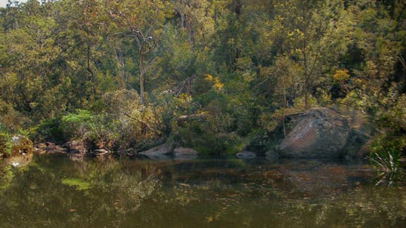 Blue Pool walking track