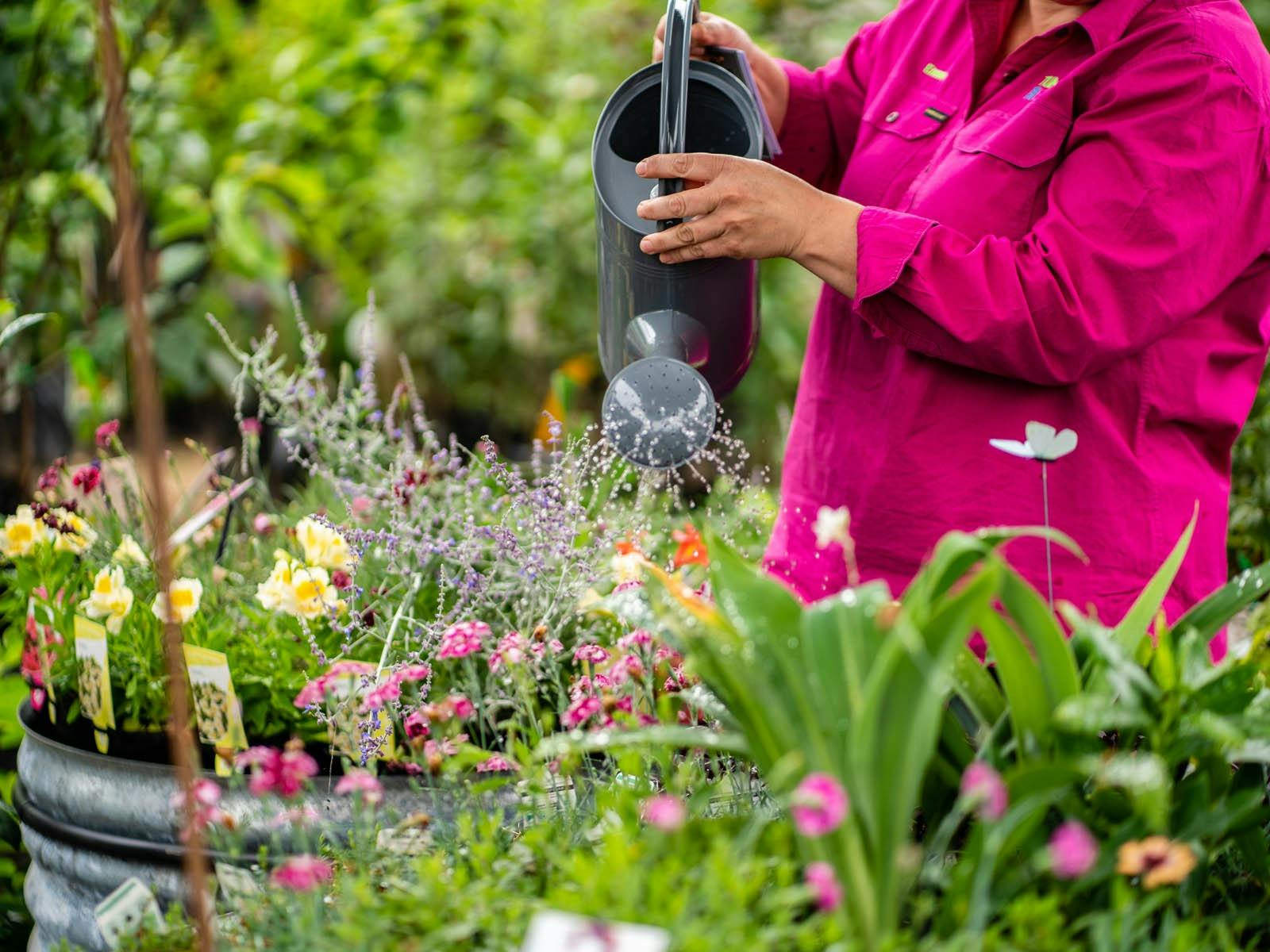 Tumba Bikes and Blooms