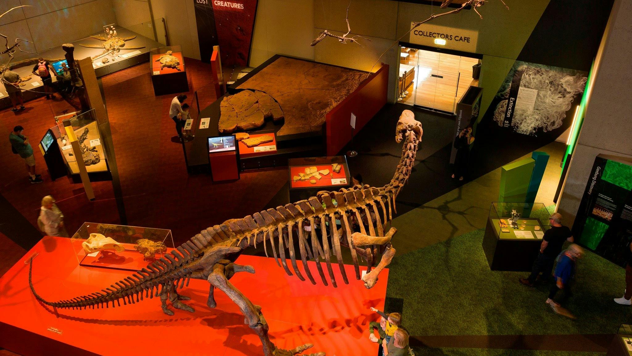 Queensland Museum's Lost Creatures Exhibition