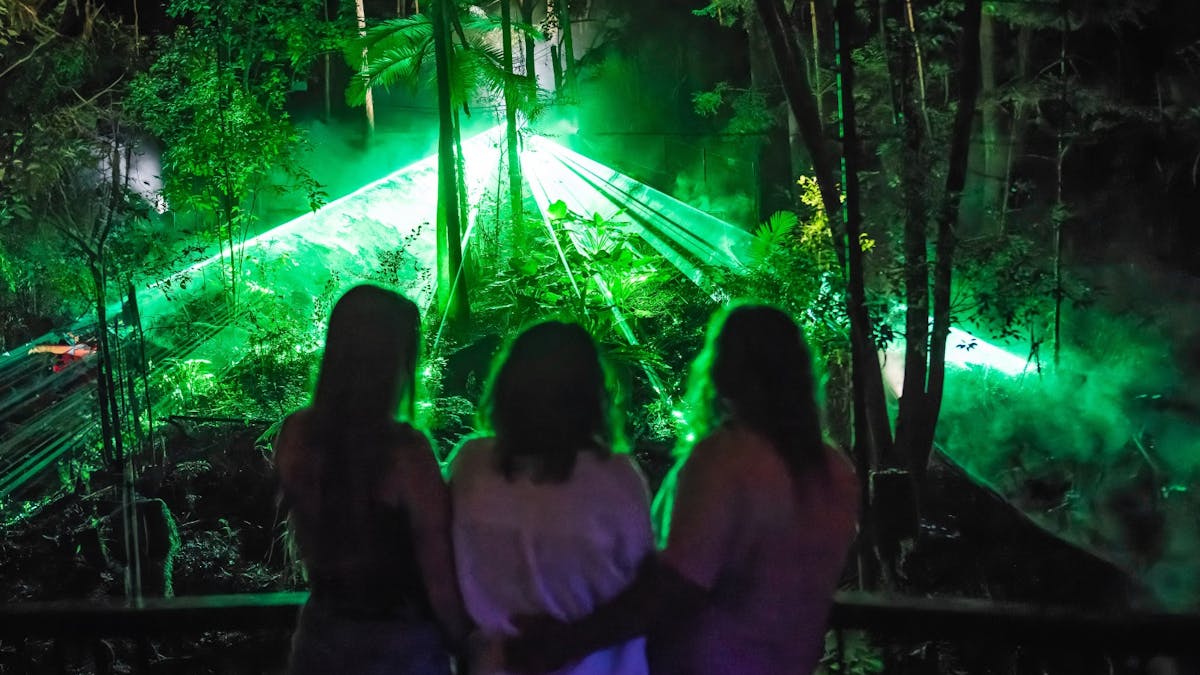 Three people watching a green light spectacle in bushland.